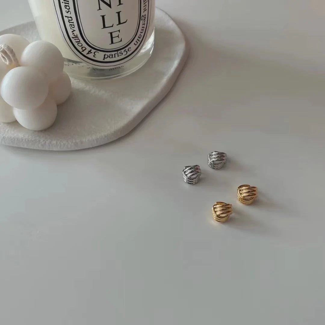 Exquisite Earrings
