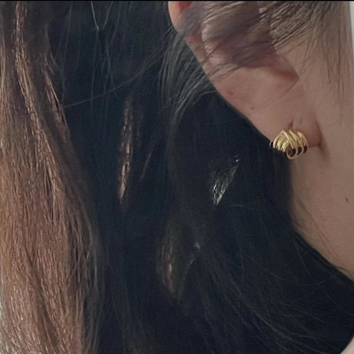 Exquisite Earrings